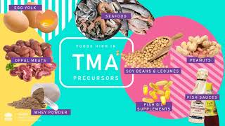 TMAU Dietitian Talk [upl. by Yvel435]