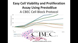 Cell Viability and Proliferation Assay with PrestoBlue [upl. by Wester165]