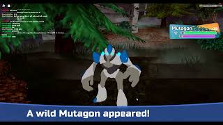 gleam mutagon in wild [upl. by Ydnew]