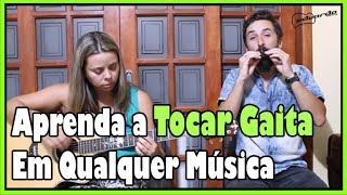 Aprenda a Tocar Gaita em Qualquer Música em 5 Minutos l Aula 166 [upl. by Ardelia]