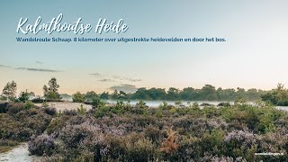 Wandelroute Schaap Kalmthoutse Heide [upl. by Shel]