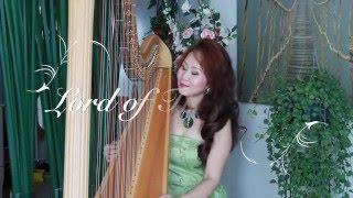 quotLord of The Ringsquot Harp easy listening arranged amp performed by Tongjuan Wang  Smiling Harp [upl. by Ym]