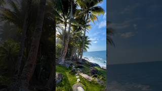 best beach viewbeautiful sea view 🌴🌴🌴 youtubeshort shorts beach seeview beautiful trending [upl. by Kerrin]