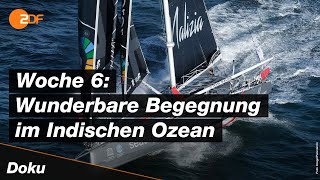 Vendée Globe Pech und geheime Reparaturen  SPORTreportage  ZDF [upl. by Nnaarual]