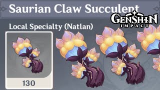 Saurian Claw Succulent Locations  Fast and Efficient Route  Ascension Materials【Genshin Impact】 [upl. by Ajnotal237]