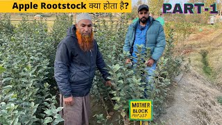 Part1Apple Rootstock क्या होता है M27M9T 337M26 M7MM106 MM111 में क्या अंतर है [upl. by Natye642]