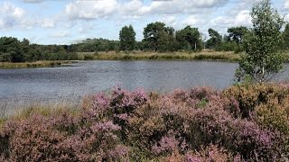 De toeristische troeven van Kalmthout in vogelvlucht [upl. by Eizzo]