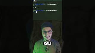 Managing files in kali Linux with three commands [upl. by Ambrogino47]