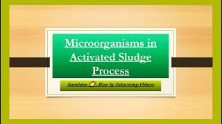 Activated Sludge Treatment Process  Role of Microorganisms  Biological Treatment of Wastewater [upl. by Nodaj]