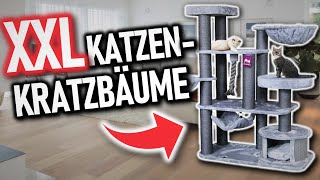 Die besten XXL KRATZBÄUME 2024 Vergleich  Top 3 Katzen Kratzbäume XXL [upl. by Felipa]