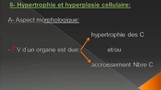 lésions élémentaires de la cellule anatomie pathologique [upl. by Supmart276]