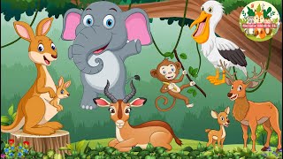 Wild Animal Sounds Elephant Kangaroo Sika Deer Gazelle Stork Boar  Animal Videos [upl. by Arymas]