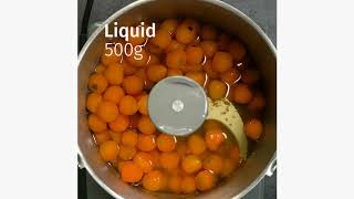 Pureed food with Gelea hot [upl. by Origra480]