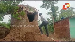 Septuagenarian woman in Patnagarh lives in ‘termite mound’ for years [upl. by Arodal]