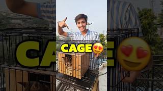 New Cage For Cats 💀😍  Mini Vlog shorts minivlog ashortaday vlog tranding cats [upl. by Erialcyram]