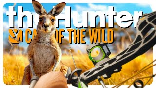 I hunted EVERY CLASS of animal with a BOW 𝗗𝗢𝗡𝗧 𝗧𝗥𝗬 𝗧𝗛𝗜𝗦  theHunter Call of the Wild [upl. by Hamfurd]