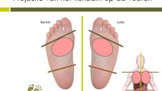 Voetreflexologie projectie organen op voeten [upl. by Drake682]