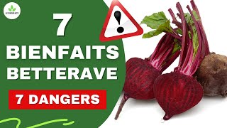 BETTERAVE  SES BIENFAITS ET DANGERS POUR LA SANTE Peau cheveux cancer troubles digestifs etc [upl. by Odracer]