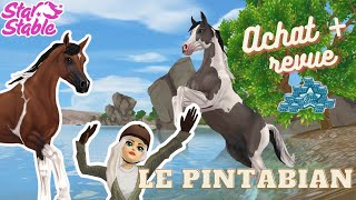 Le pintabian 🤎 Achat  Revue 💵 STAR STABLE [upl. by Macrae]