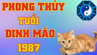 Phong Thủy Tuổi Đinh Mão 1987 [upl. by Icnan]