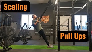 How To Do Pull Ups and Scale Them [upl. by Azaleah]