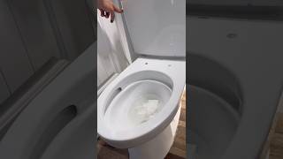 installing the best commode money can buy [upl. by Nanine]