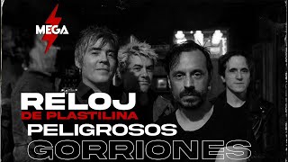 Peligrosos Gorriones en MEGA 983 [upl. by Reffinnej707]