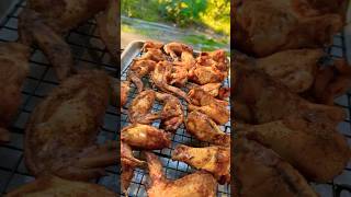 Pit Boss smoker chickenwings bbq pitboss pitbossgrills slowcook youtubeshorts [upl. by Leiram]