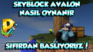 SIFIRDAN SKYBLOCK AVALON   NASIL OYNANIR  PROVANAS SKYBLOCK bölüm 1 [upl. by Norab]