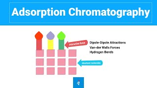 Adsorption Chromatography Made Easy [upl. by Worrad]