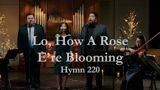 Lo How a Rose E’re Blooming Hymn 220  Hymnology Official Video [upl. by Davina]