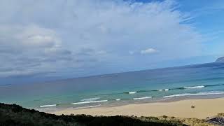 Bruny Island neck game reserves tasmania australia [upl. by Malynda147]