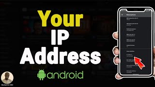 How to Find your IP Address on Android  Full Guide [upl. by Thurlow408]