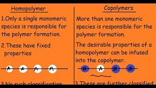 Homopolymer Vs Copolymer Differences [upl. by Nagek701]