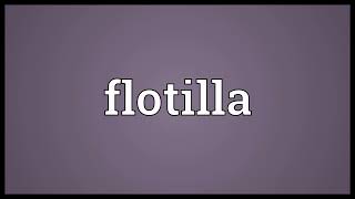 Flotilla meaning [upl. by Ronoh50]