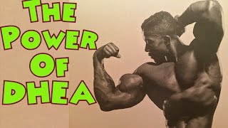 The Power of DHEA  Bodybuilding Tips To Get Big [upl. by Tray]