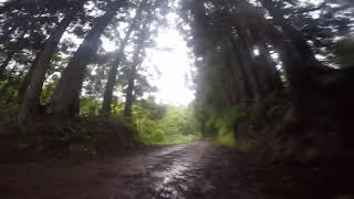 TrailRunning  Azores  Terceira  Sta Bárbara  ‘Amigos’ [upl. by Auerbach]