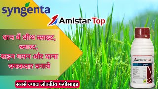 Amistar top fungicide पूरी जानकारी । सबसे बेहतरीन फंगीसाइड धान के लिए \ Syngenta amistar top [upl. by Eciryt]