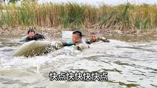 “灌溉渠按压法”抓鱼！这种抓鱼方式真是紧张又刺激！ [upl. by Teddy]