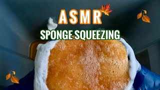 ASMR  SPONGE SQUEEZING  Gloomy Fall Day Vibez 🌧️🍂 extremely relaxing [upl. by Latsyk]