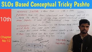 20 Neuron structure Dendrites  cell body  Axon  Myelin sheath biology in pashto [upl. by Willdon956]