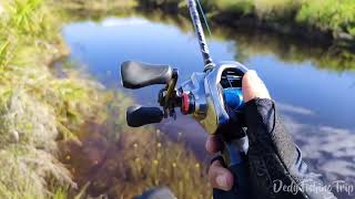 Shimano Scorpion DC 151XG 2021 [upl. by Odnalo274]