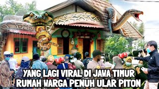 Viral  Warga Beramairamai Melihat Rumah Penuh Ular Piton Berukuran Raksasa [upl. by Doug]