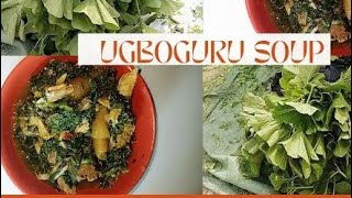 Ofe Ugboguru  Soup With Melon Leave  The Forgotten Soup In Igbo Land  Chinese Mallow Recipe [upl. by Melliw243]