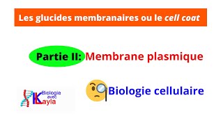 Les glucides membranaires ou le cell coat [upl. by Acinoda]