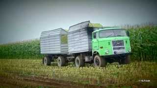 Kirovetz K700 Part 1 IFA W 50 Silage abfahren [upl. by Aztiley]