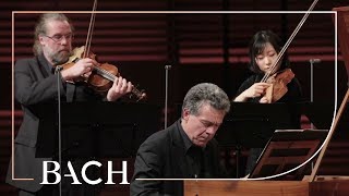 Bach  Harpsichord concerto in F minor BWV 1056  Henstra  Netherlands Bach Society [upl. by Nikola]