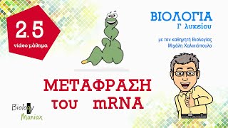 25 Μετάφραση του mRNA  Βιολογία Γ λυκείου  Biology maniax [upl. by Otter600]