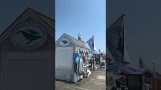 Provincetown Cape cod provincetown capecod travel [upl. by Sholom536]