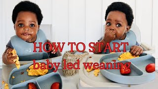 FIRST WEEK OF BABY LED WEANING AT 6 Months Old  BLW Tips  Advice [upl. by Seaver]